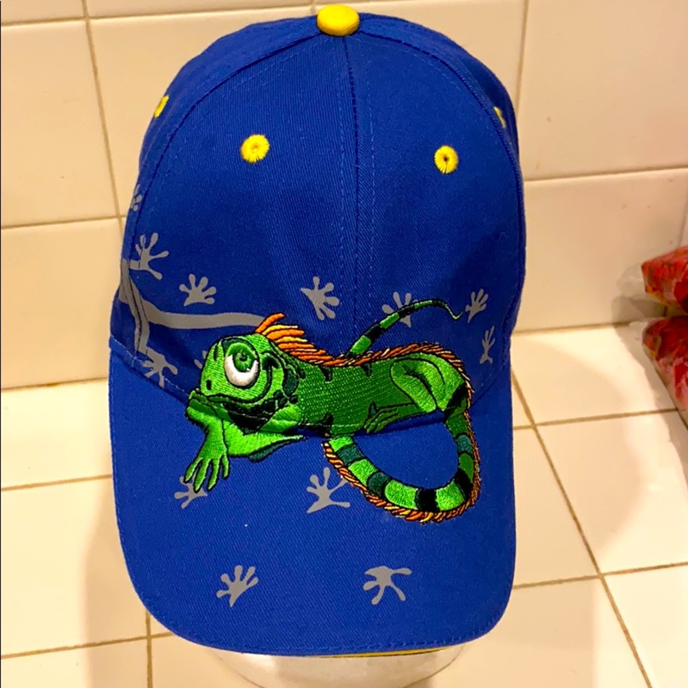 Brandina Costa Rica Baseball Cap